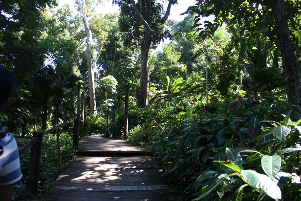 スリーピングジャイアント植物園